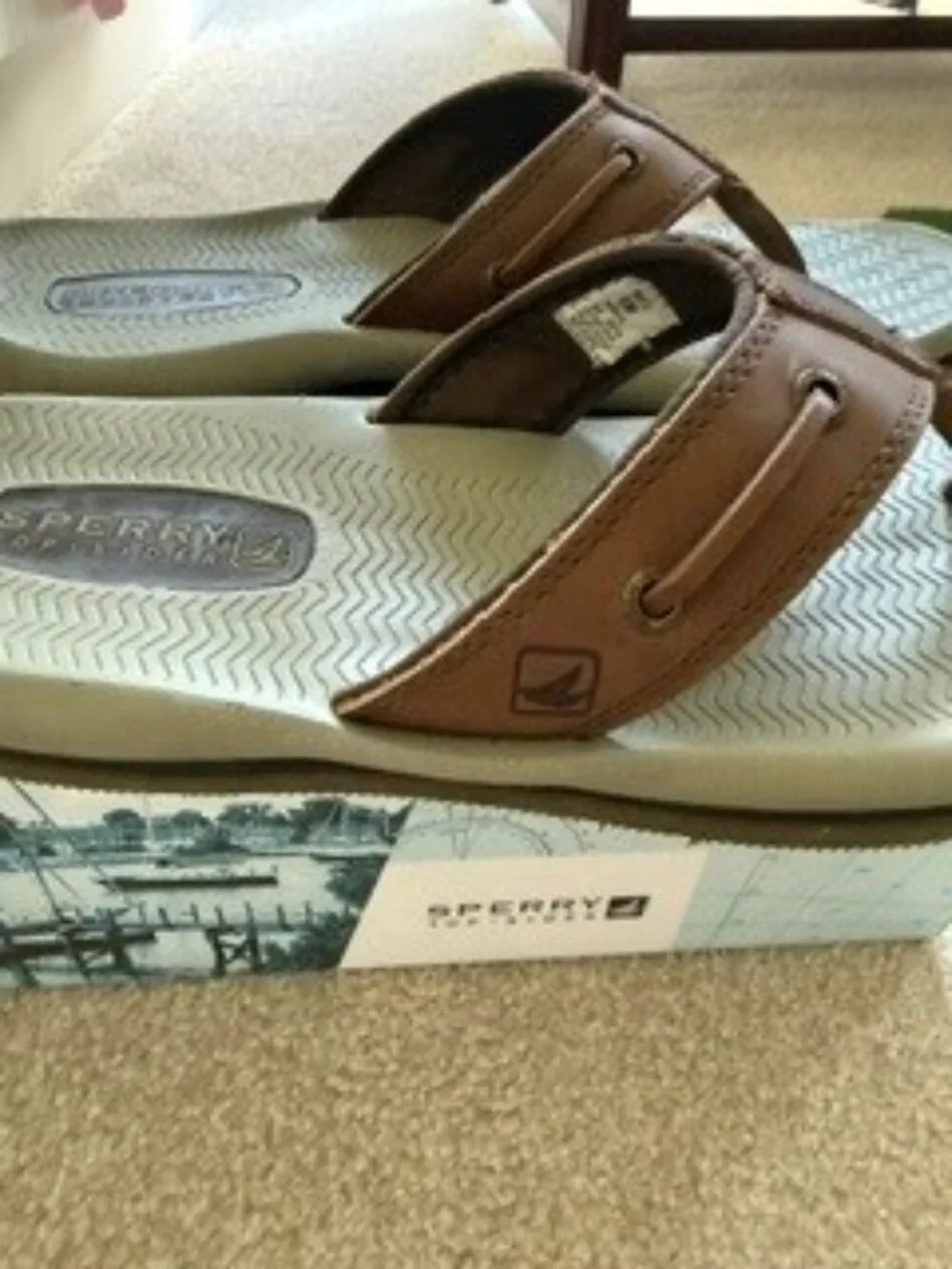 Mens Sperry Santa Cruz Sandal Thong - Color Chocolate Size 9 Brand New in Box